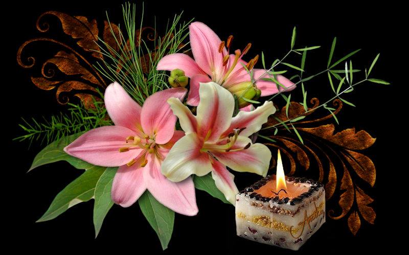 84555622 2272217366211997 5618824981409431552 n