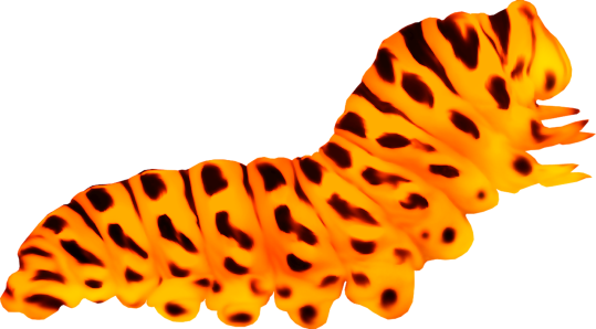 GBD_Lbe29