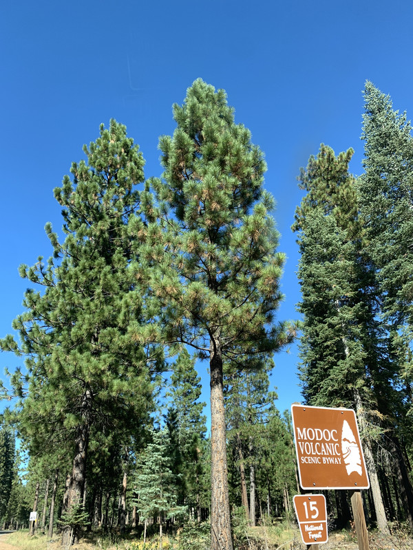 EBF4769C-5AA5-4EC9-AD63-A8C5C7D251C8