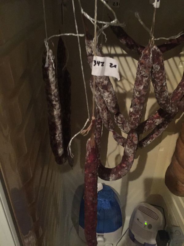 7D912A39-CFA6-454C-94AD-285F3346217B