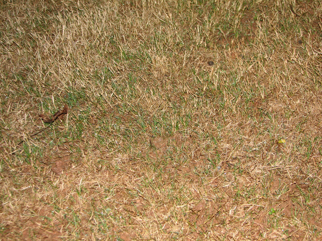 IMG 0004 — Postimages