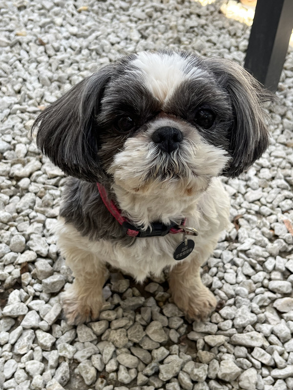 [Image: IMG-1705.jpg]