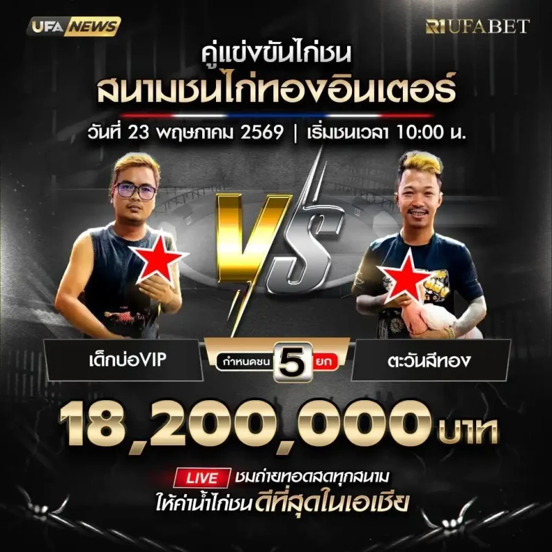 เด็กบ่อ VIP พบ ตะวันสีทอง โปรแกรมไก่ชน สนามชนไก่ทองอินเตอร์ 23 พฤษภาคม 2569