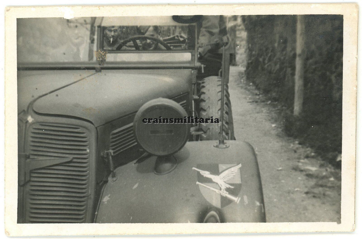 Orig. Foto Kübelwagen Pkw mit Wappen 2.Aufkl.Gr.123 Aufklärer Piloten