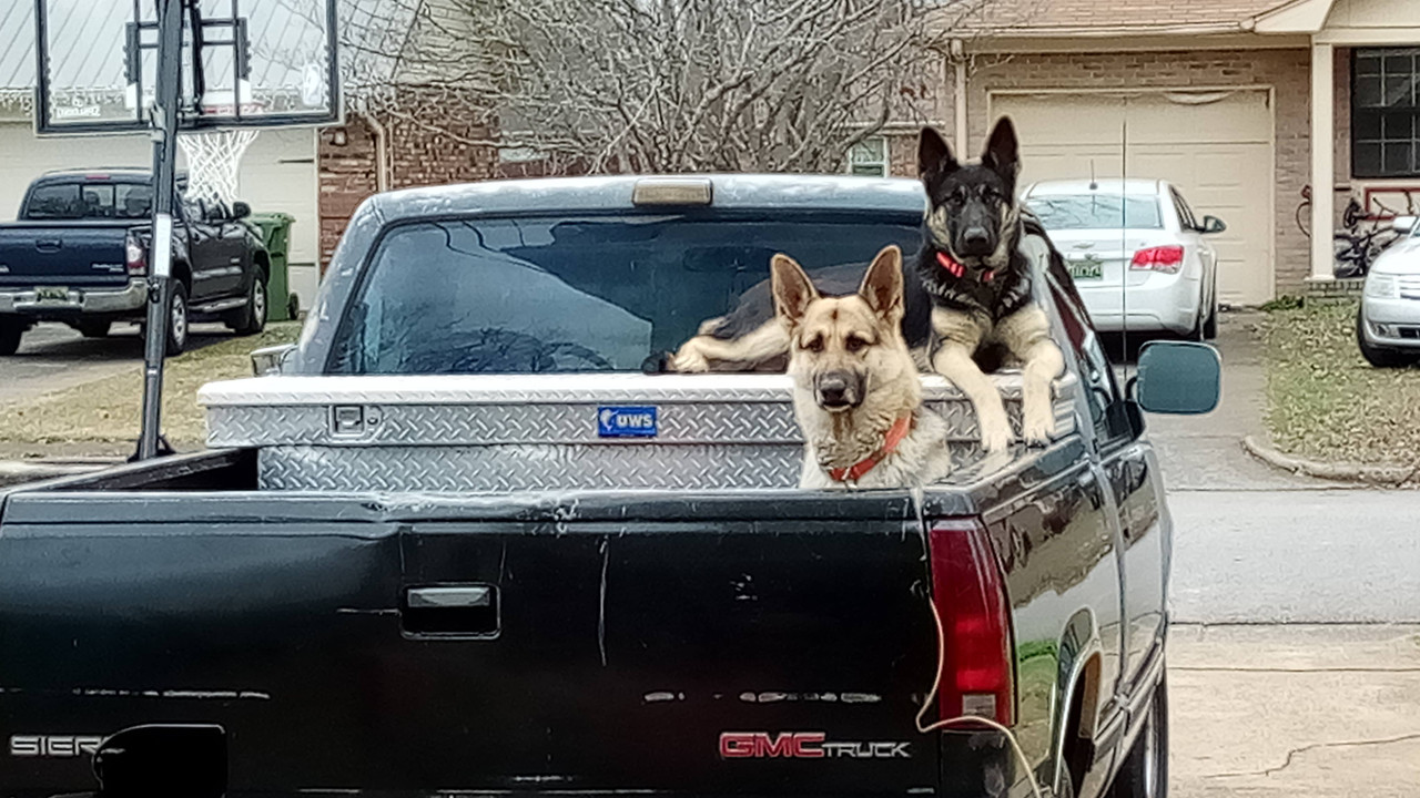 55A235E4-99E7-413C-ABF2-CBBB1502975F