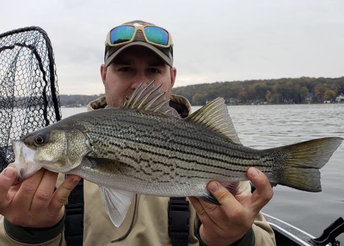 53574E59-293D-493A-8A04-4443B8357F0B