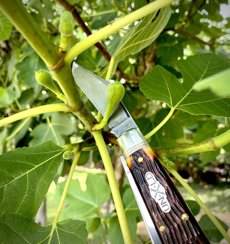 0BDCD644-51D9-4C45-BC01-853812D040AA