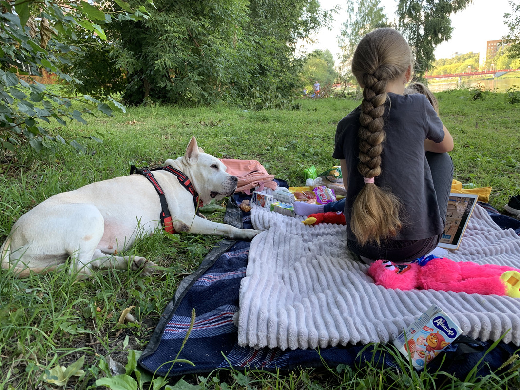 0B762ADF-316F-410B-B4E4-6D908B6C99EA