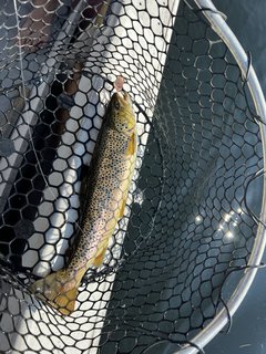 D2841E52-C94D-42DD-9849-4182BC65658D