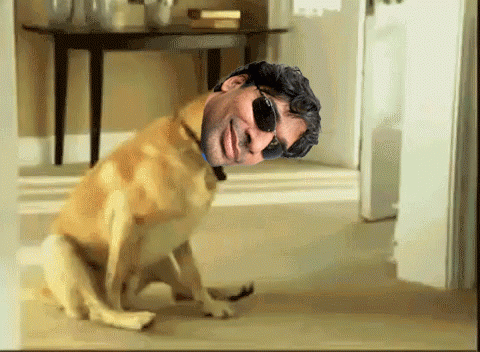 dog-doggy2.gif