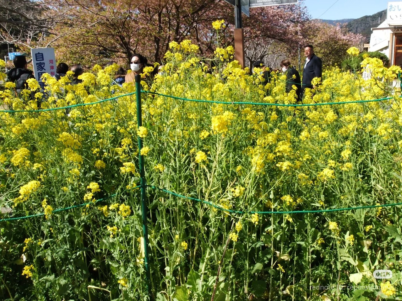 photo 19 2025 12 17 21 28 21