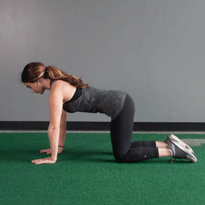 Cow Pose / (Bitilasana(Beginner level-IGIYS)