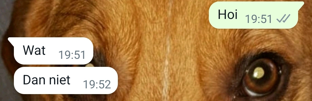 Screenshot_20221109_195432