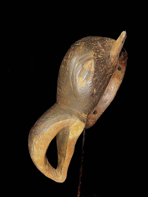 large image 8
