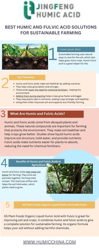 Best Humic and Fulvic Acid Solutions for Sustainable Farming