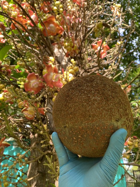 CBA595AA-0F0E-4F46-8742-BD55E0863BD3