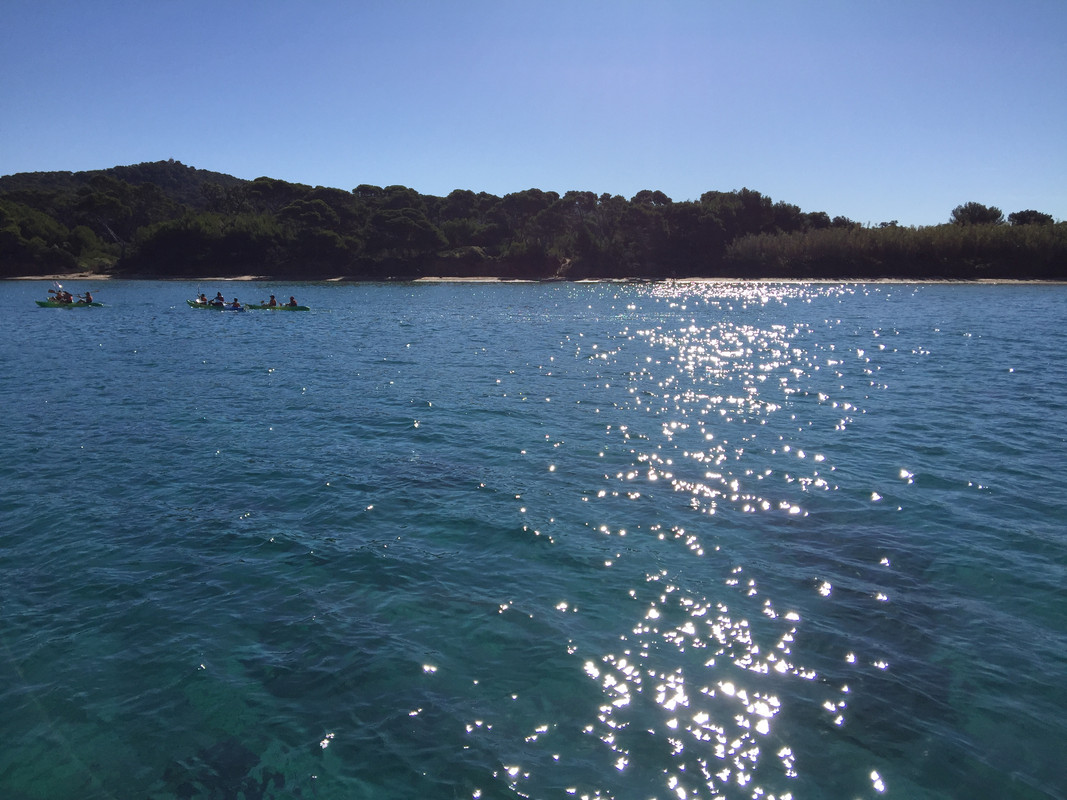 BEA8F814-0731-4B49-AA5F-B3A394C6BC57