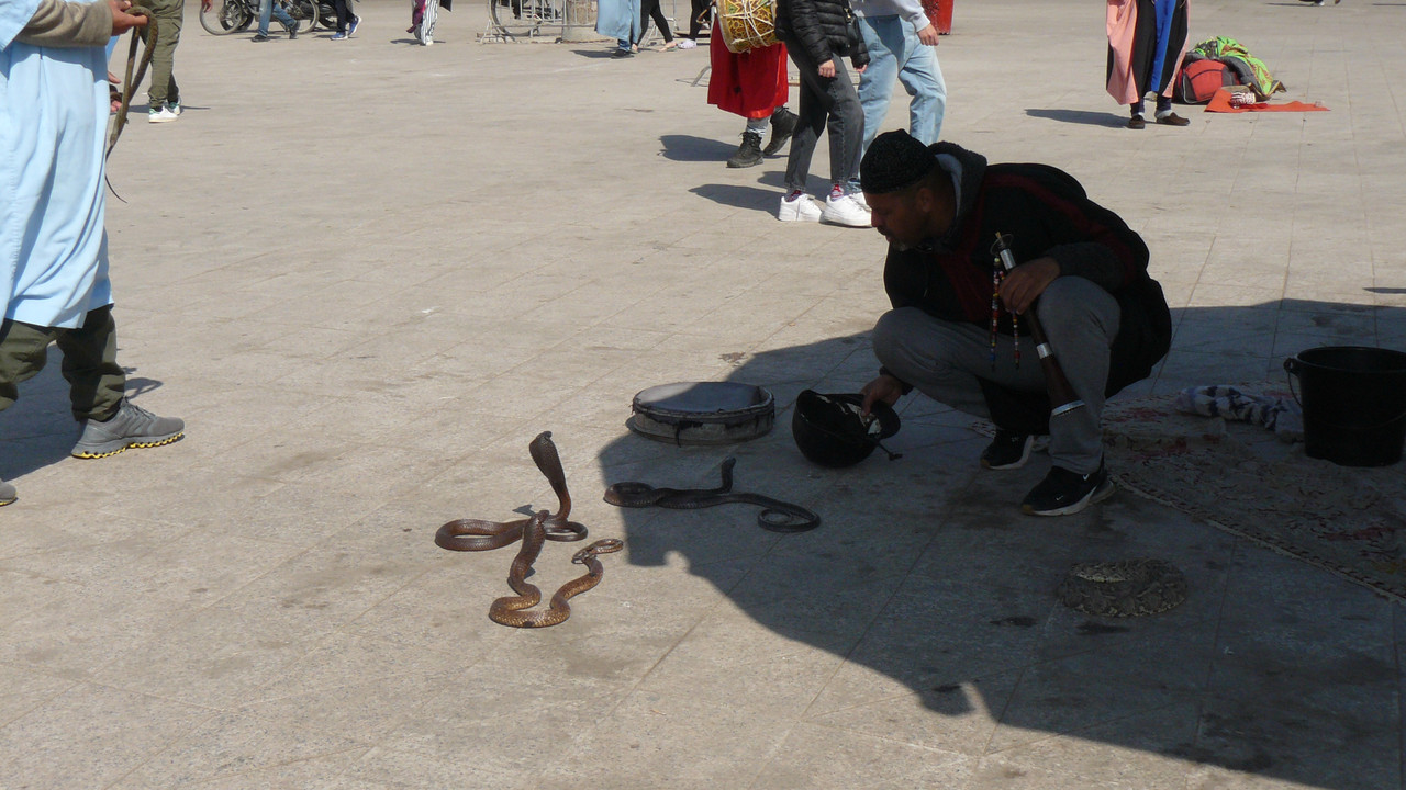 [Obrazek: P1120481.jpg]