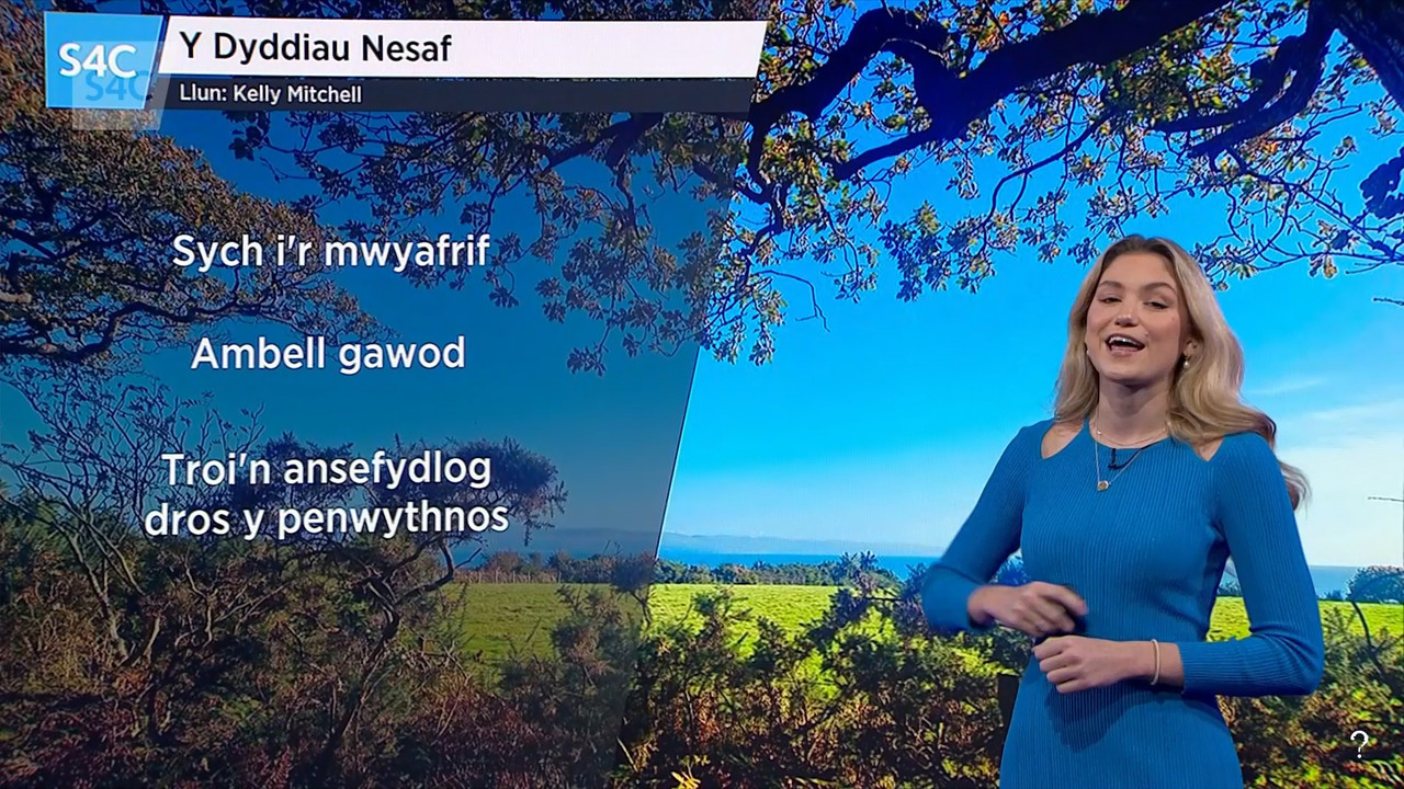 10.13 - 19.00.00 - New  Heno. Rhaglen gylchgrawn nosweithiol gyda str....ts_snapshot_00.58.34.371