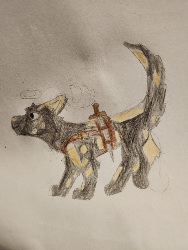 Moonshadow's wolf Jayda