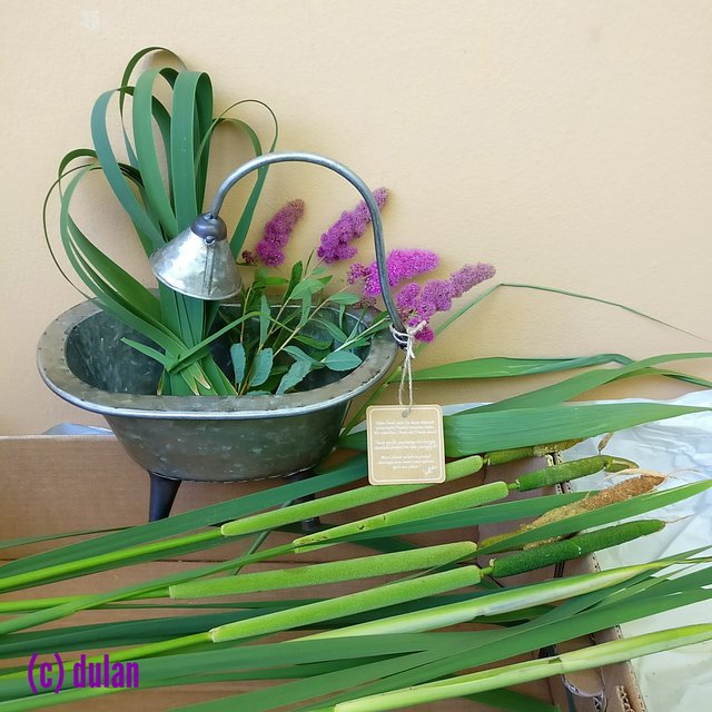 [Image: IMG-20240625-171358.jpg]