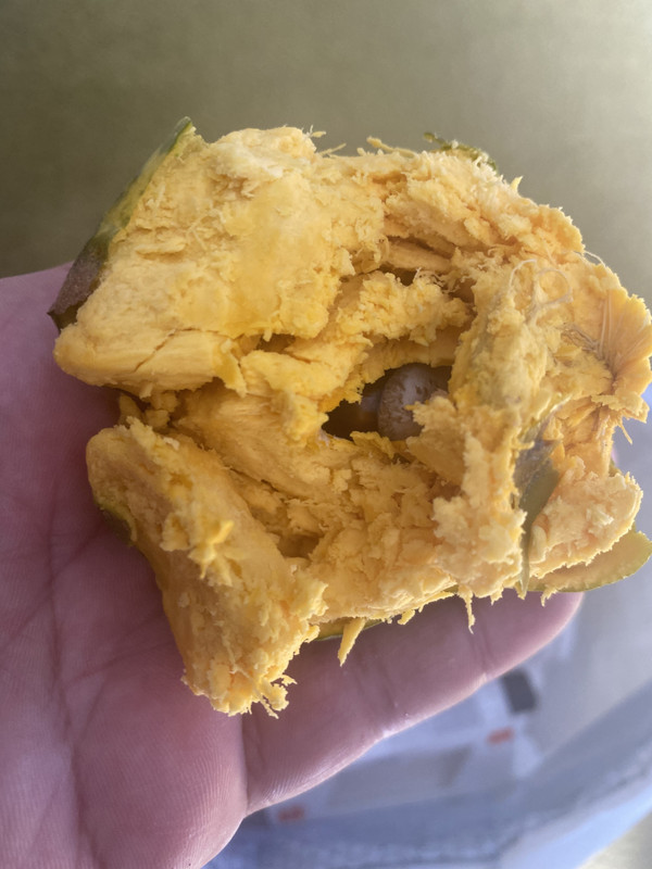 709E61CC-B5BB-4D32-9BFE-D9CE07A6F858