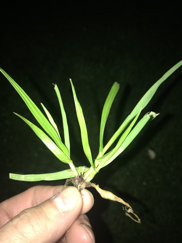 0 D73 C116 2517 48 D6 93 B3 CDD0 C4664 B70 — Postimages