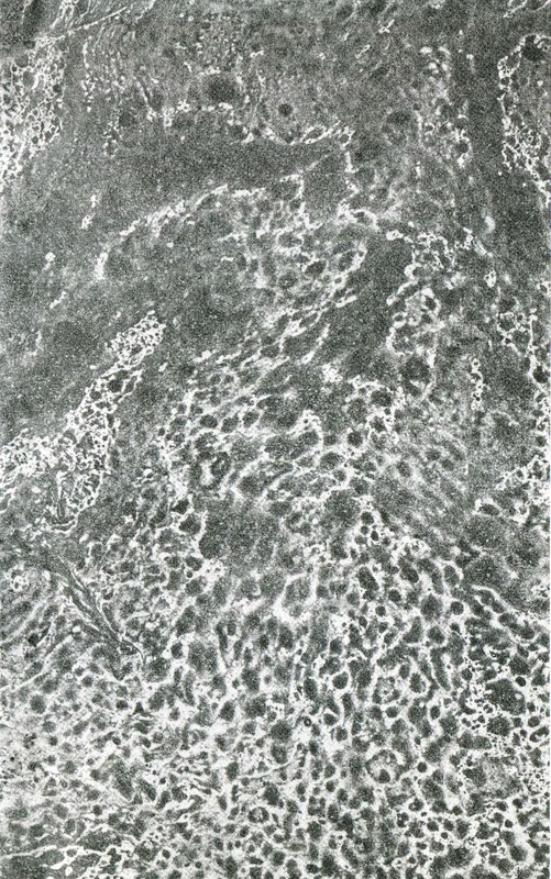 p0003