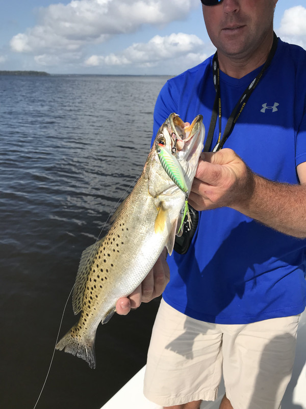 FE915414-7B0F-4FFA-9B0C-7742E298CBA8