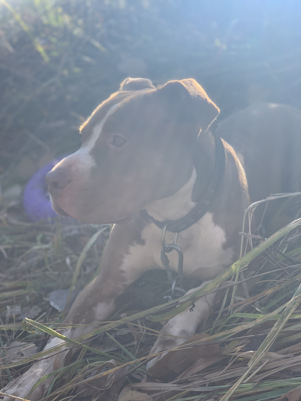 1B7D967F-3884-45BC-BDBB-CC75691CC0B9