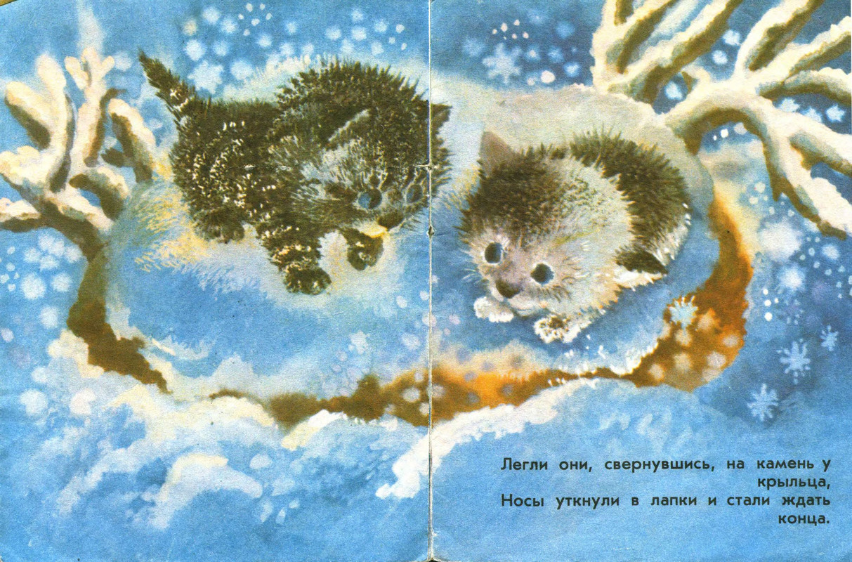p0006