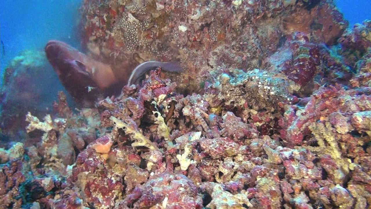 vlcsnap-2023-12-21-20h48m36s405