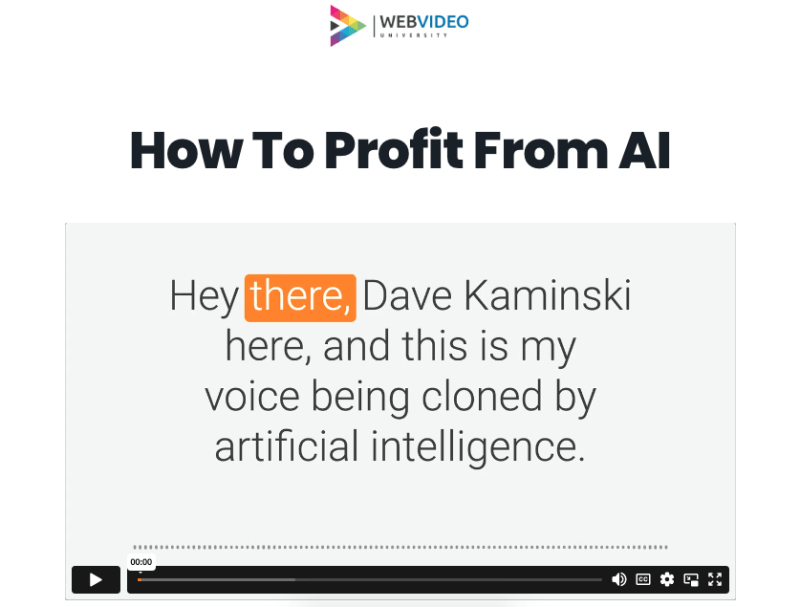 Dave Kamiski - How to Profit from AI