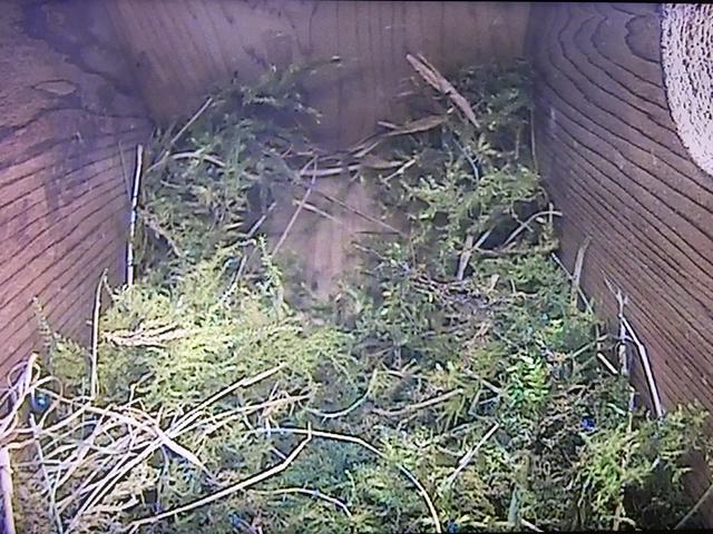 401A43B4-D136-47F5-A8DB-2C70A3E32577