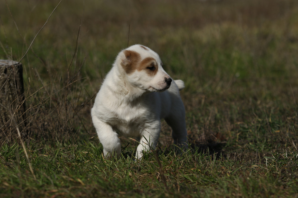 7D709B85-FF5E-4CA6-944C-3BBE70F5BA0B