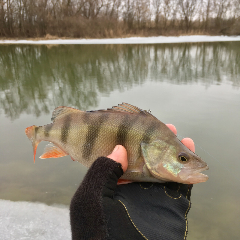 532A30E6-2C84-4846-8B6E-520568C494B2