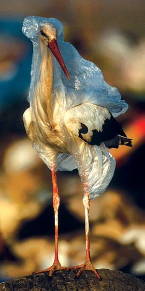 UPF0420020-BAG-I.jpg