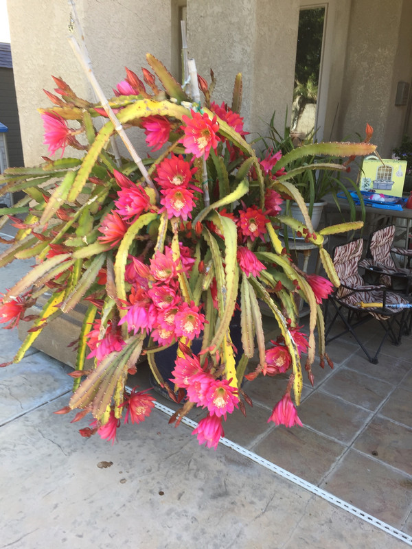 814CC019-1E2A-4890-928E-B2270AA38DE2