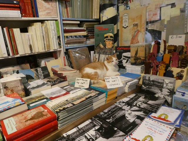 DÍA 11 – Burano / Murano / Venecia - Dolomitas, Garda, Venecia... Noreste de Italia en verano de 2025 (18)