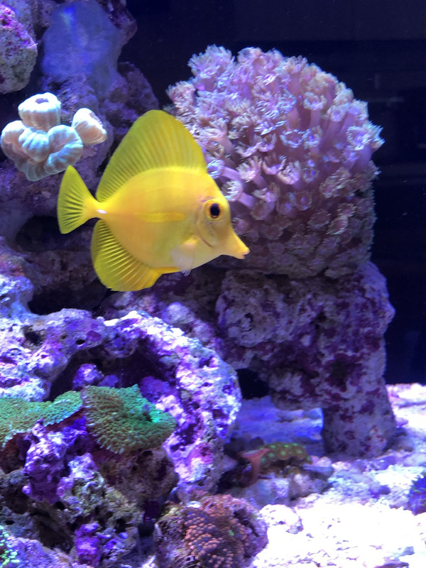 F40440BC-60E7-442D-BEC3-00C2FE644B1A