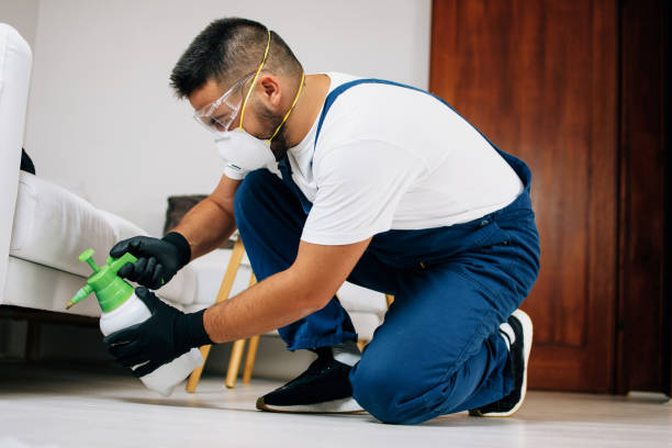 pest-control-(2).jpg