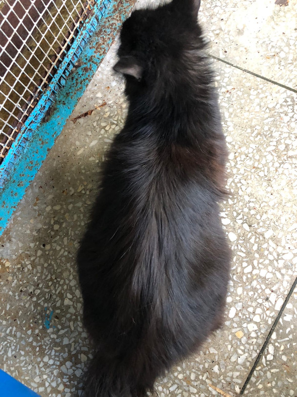 9AFF35FC-CC95-4658-8C35-F1ADBEFDB679