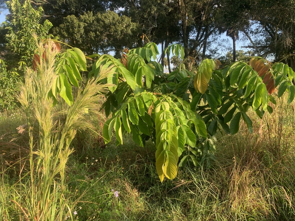 E5785570-DCCD-4C0F-8525-504C86066D57