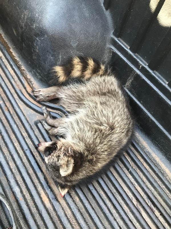 7681A786-9D06-4DD0-B739-13DEA0D58257