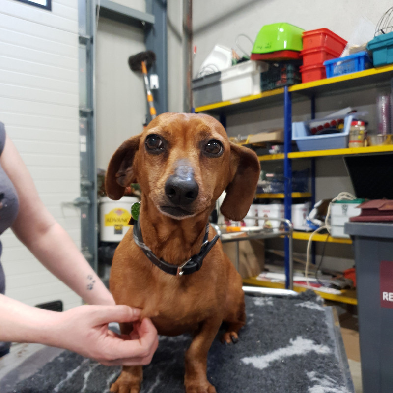 [Image: 20210205-160122-0.jpg]