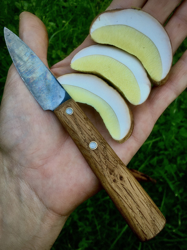 6E4001F0-A163-4305-8438-6A33C69E4C07