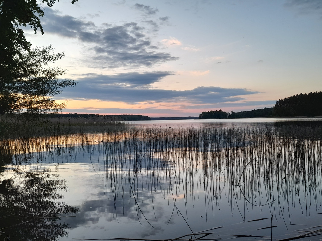 03.30 - 20210601_204831 (Aldona)