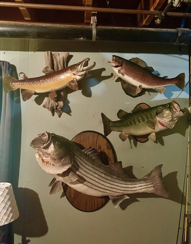 3CFB165D-FDAE-47C8-8FC2-1A7CF2D6DCF6