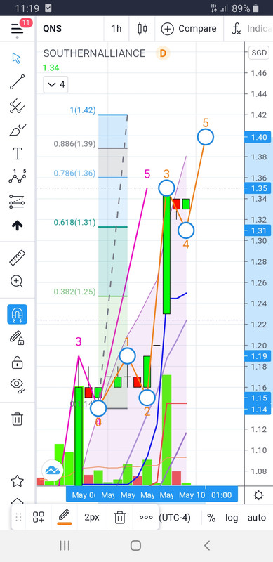 Leading Mining Company Southern Alliance Mining