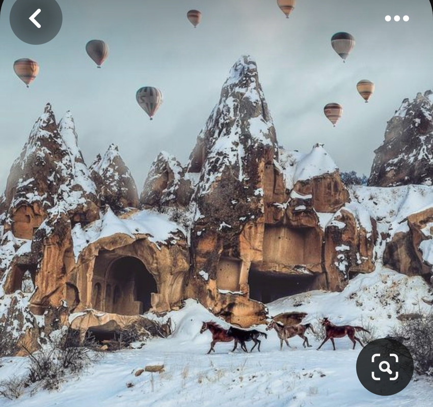 Screenshot_20231121_230708_Pinterest